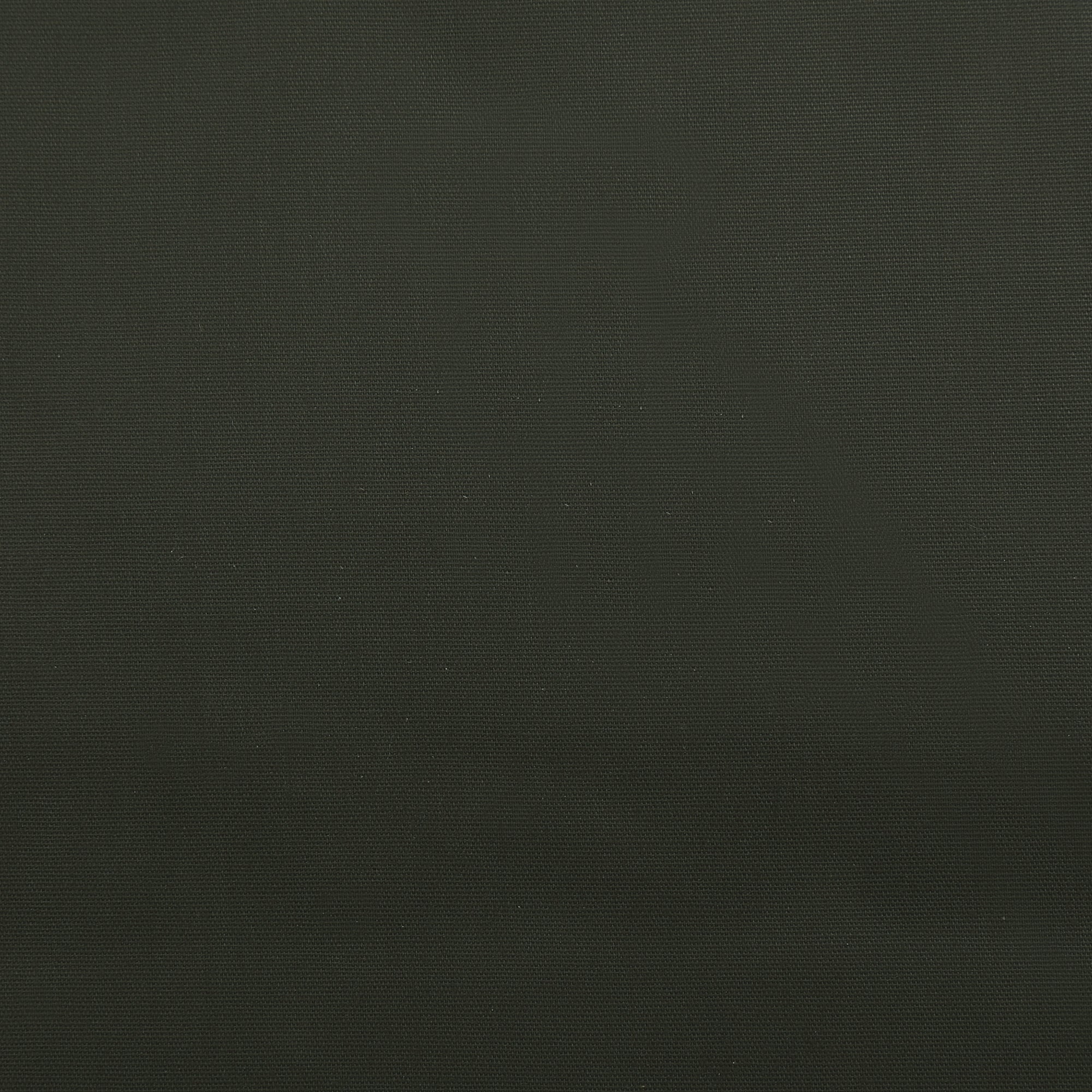 COTTON TEXANA HARD POPLIN - Dark Green image