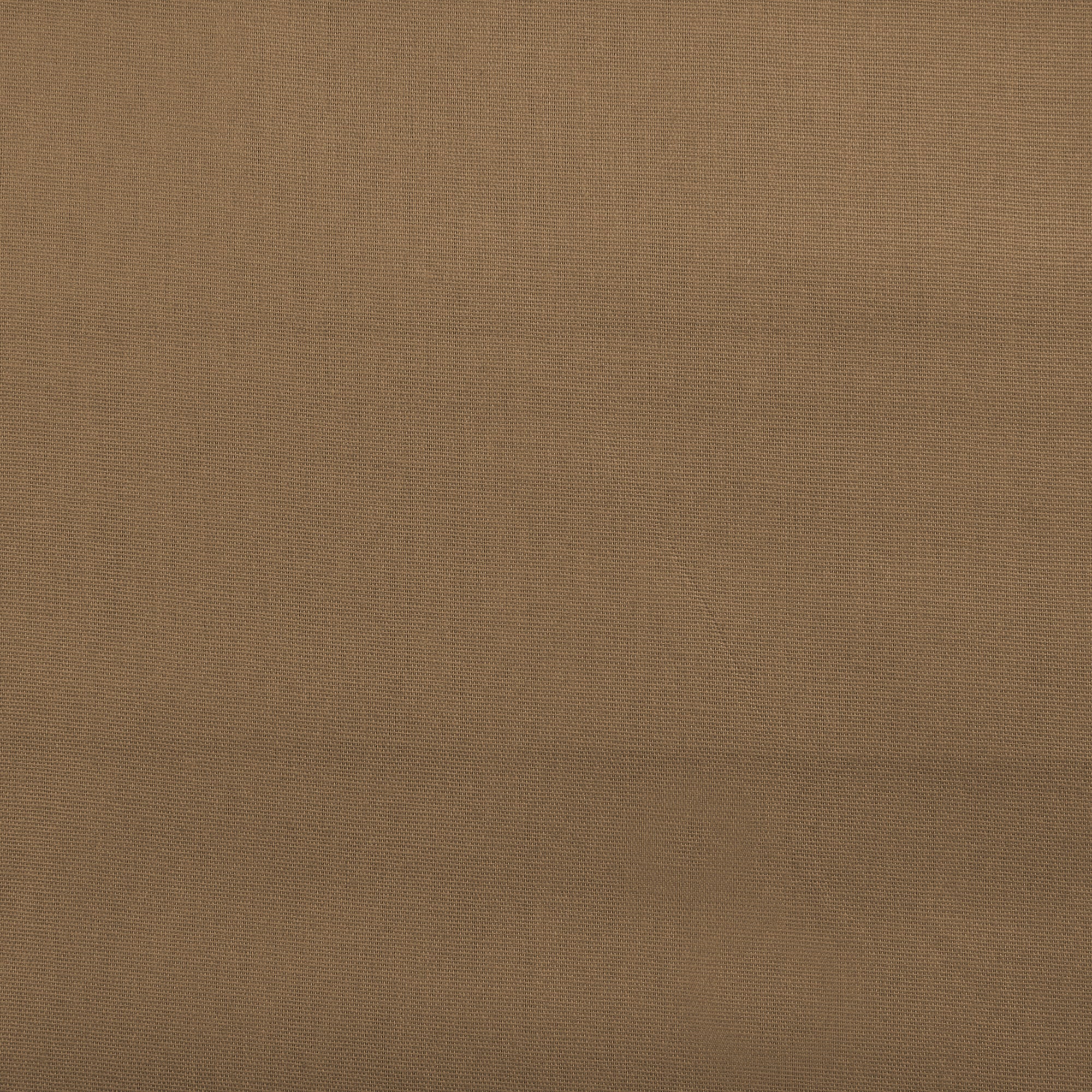COTTON TEXANA HARD POPLIN - Brown image