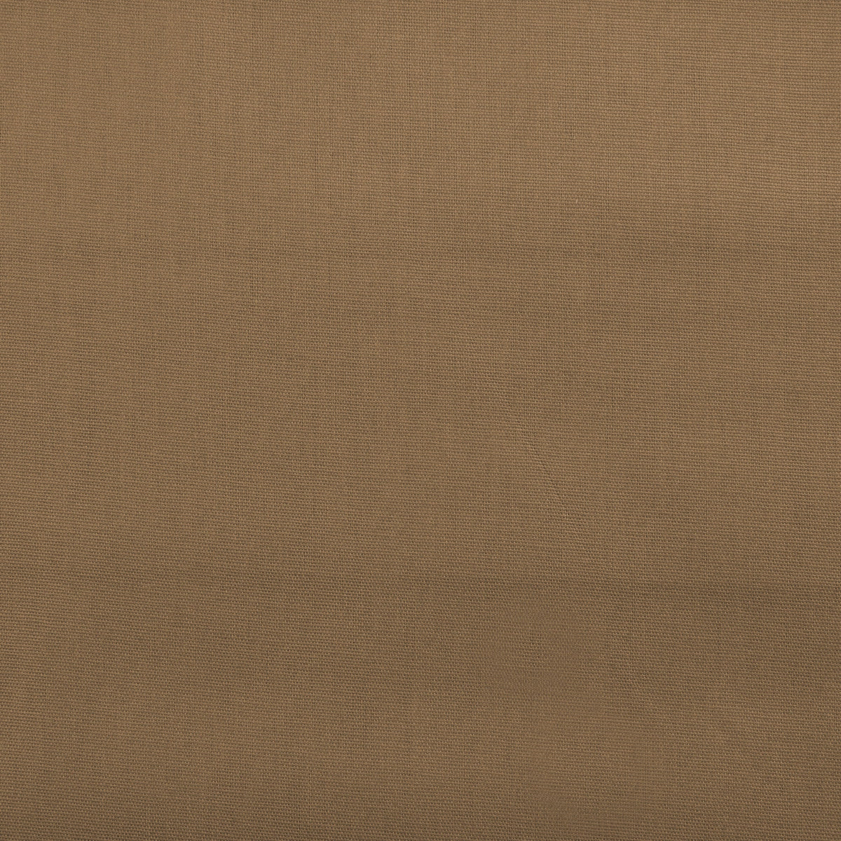 COTTON TEXANA HARD POPLIN - Brown image