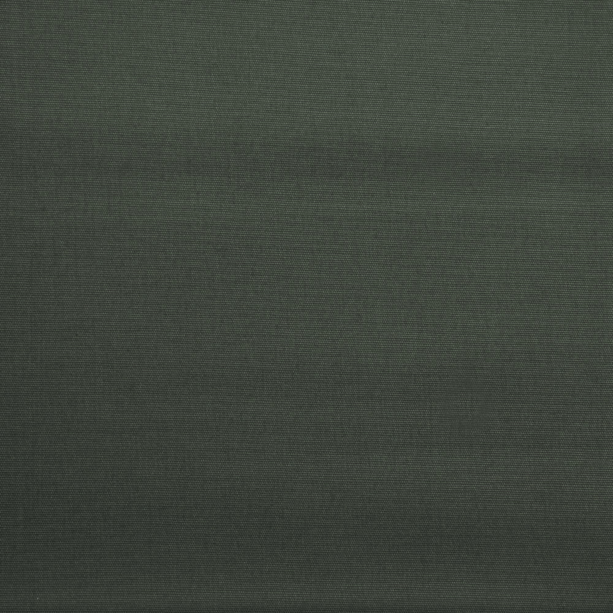 COTTON TEXANA HARD POPLIN - Green image