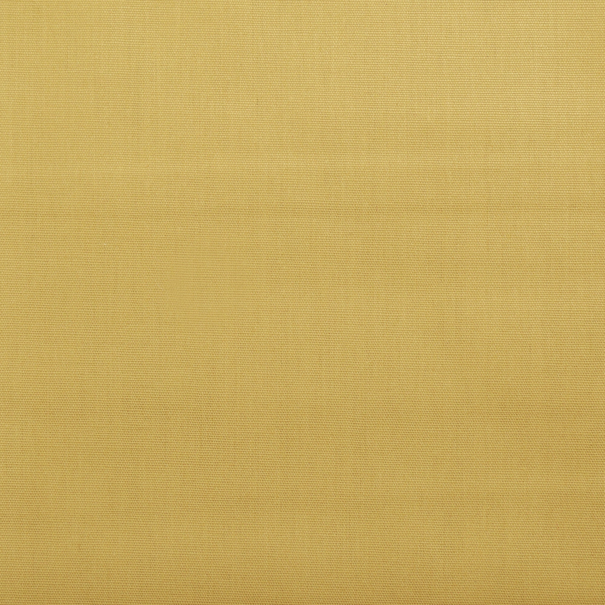 COTTON TEXANA HARD POPLIN image 1