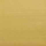 COTTON TEXANA HARD POPLIN image 1