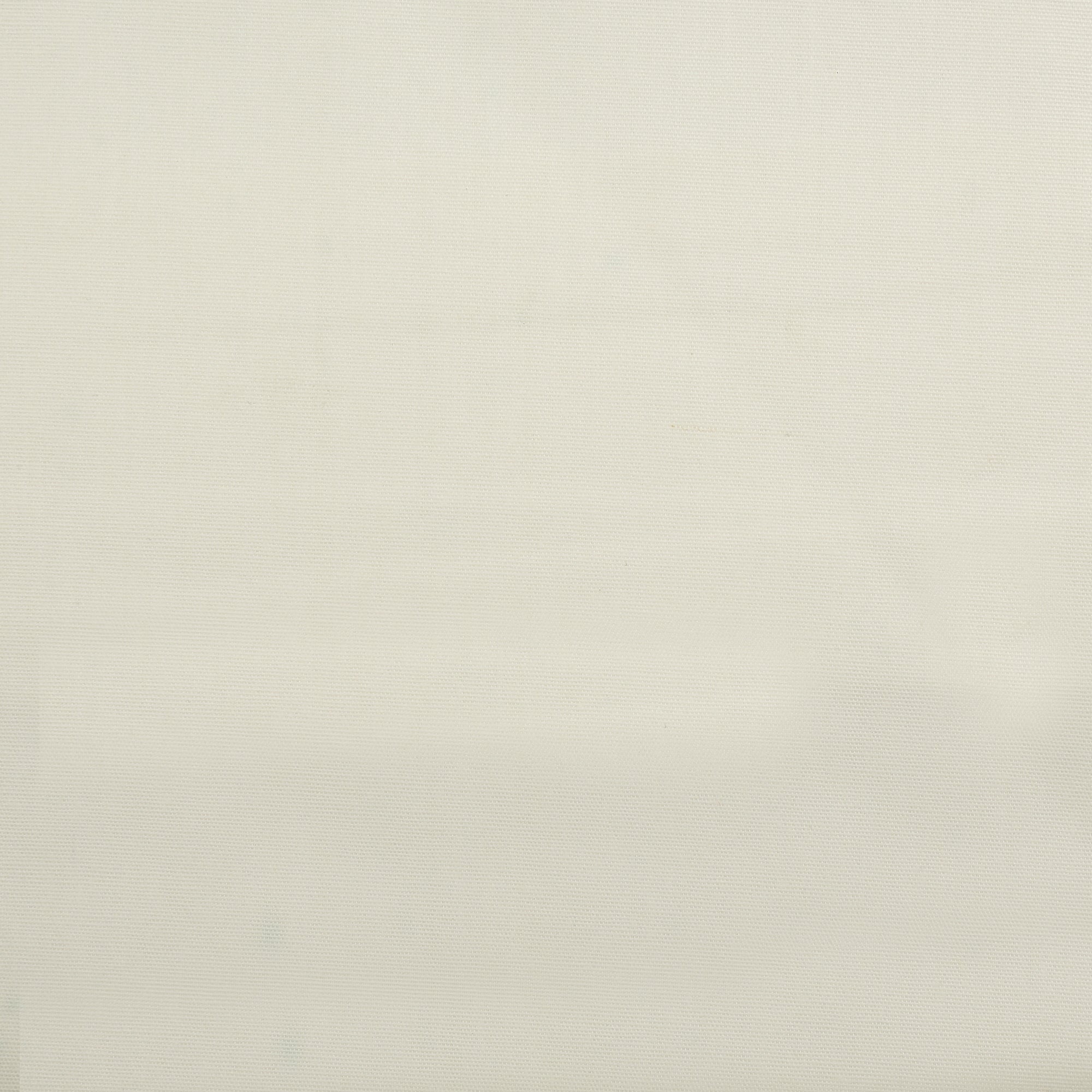 COTTON TEXANA HARD POPLIN - White image